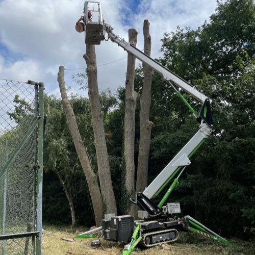tree surgery with mewp high