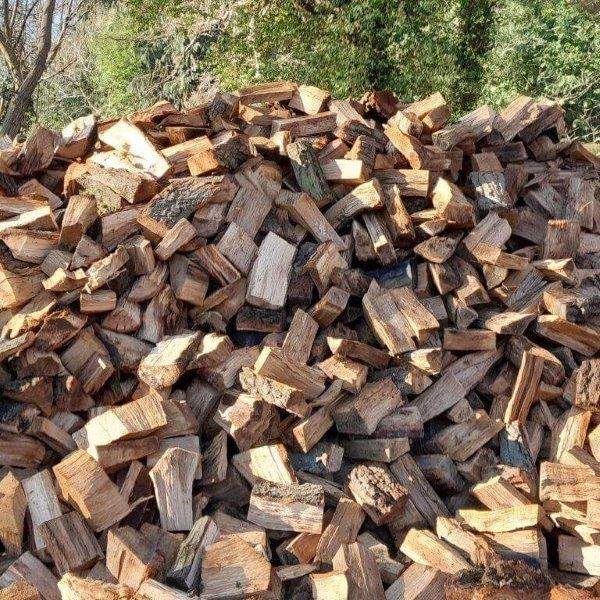 Hardwood Logs In Bulk